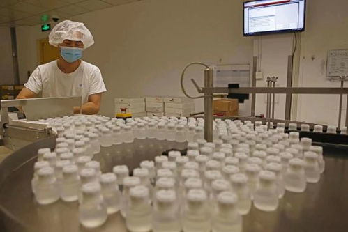 GE醫(yī)療堅(jiān)定扎根中國信心，以更大規(guī)模參展第五屆進(jìn)博會(huì)